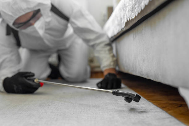 Professional Bed Bug Control technician working in Waldwick, NJ